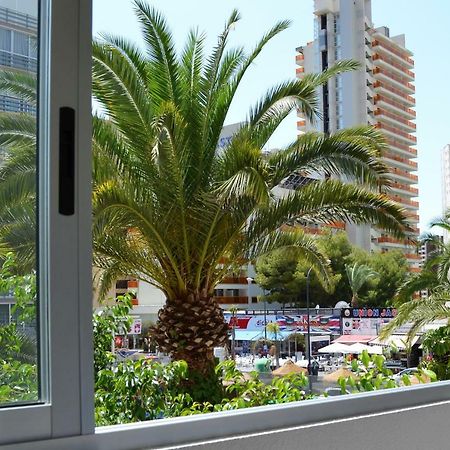 Margarita Apartment בנידורם מראה חיצוני תמונה